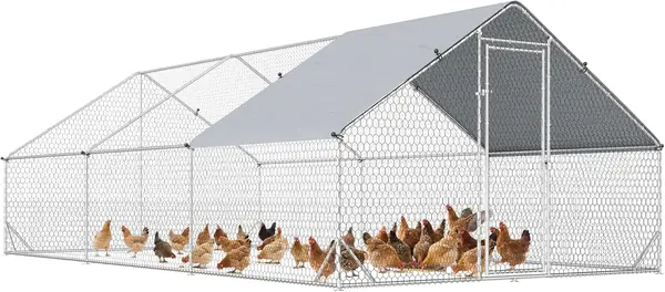 Hühnerstall 3x6x2 m Freilaufgehege mit Dach für 12-18…